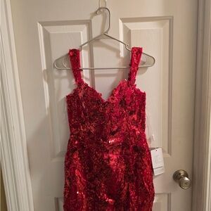 Stacee’s Glamorous Red Sequin Dress NWT!